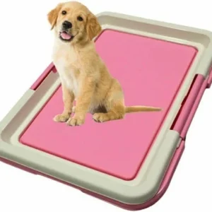 Taiyo Pluss Discovery Dog Toilet Potty Training