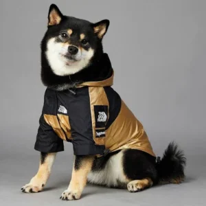 Luxury Waterproof Jacket for Dogs