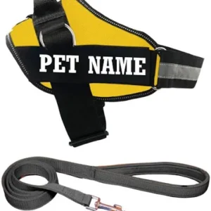 Personalized Dog Harness